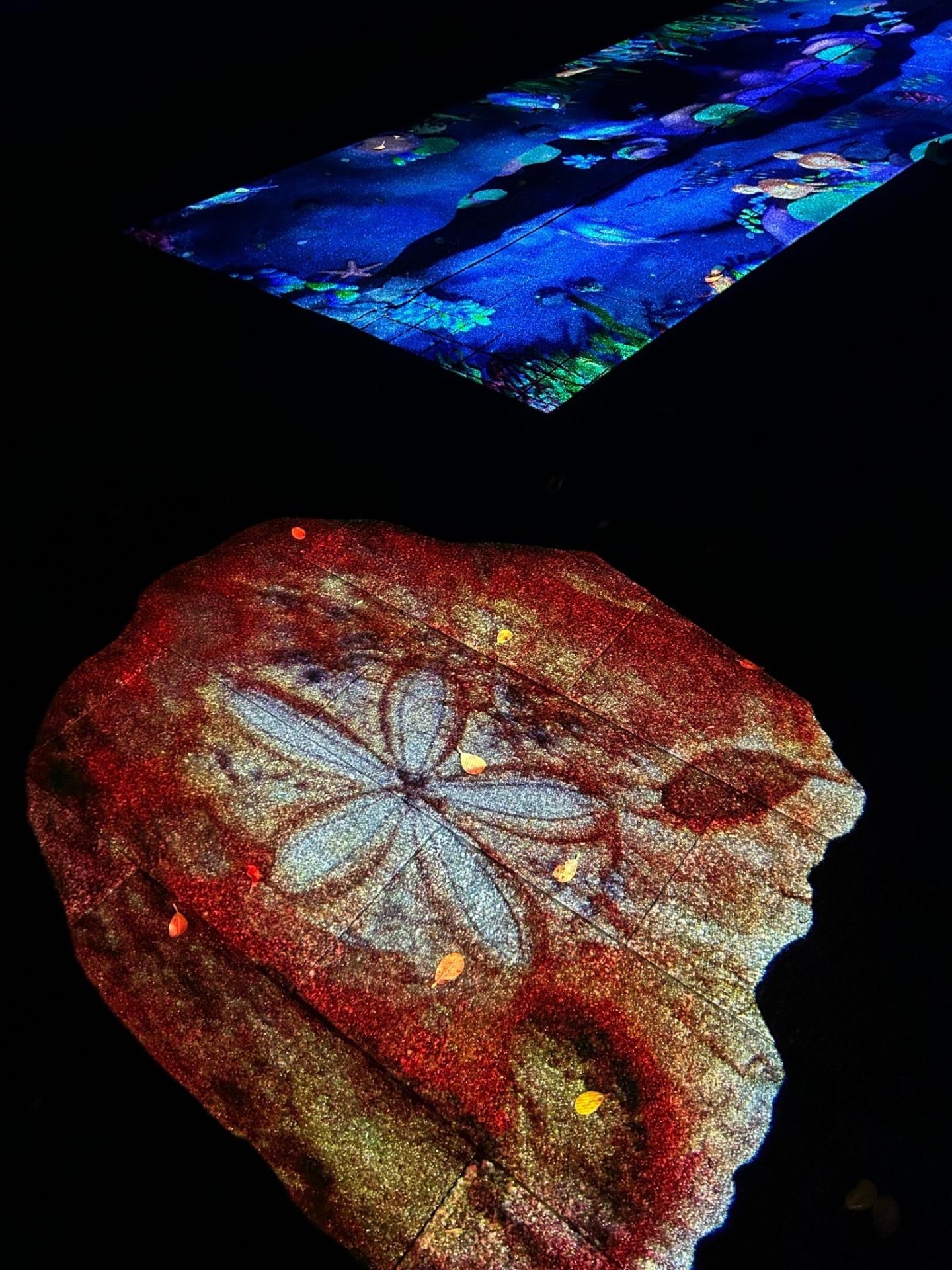 2024 Yehliu Night Tours