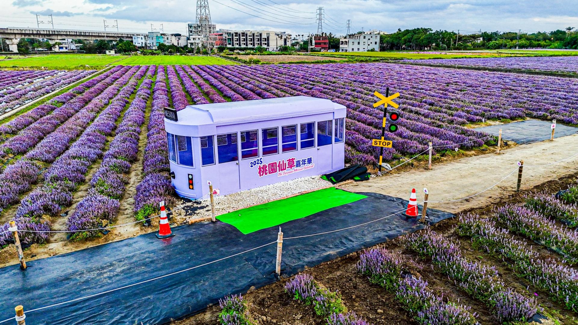 2025 Taoyuan Mesona Flower Carnival