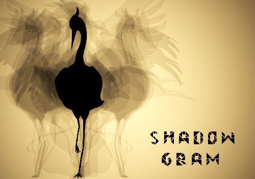 Shadowgram